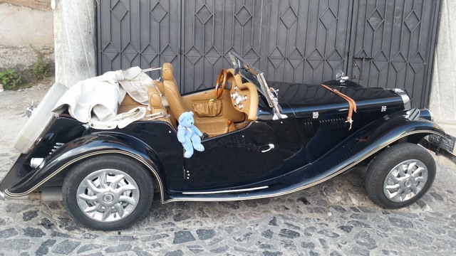 Blue Bear and MG, Mexico