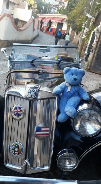 Blue Bear and MG in Mexico