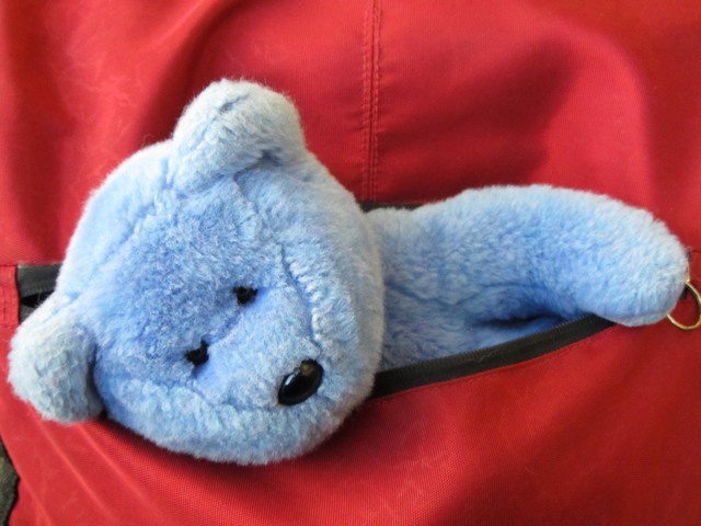 Blue Bear tucked in